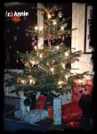 Angeh�ngtes Bild