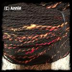 Angeh�ngtes Bild